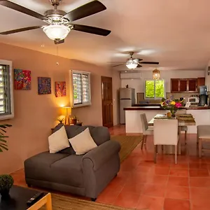 https://budgies.quintano-roohotels.com